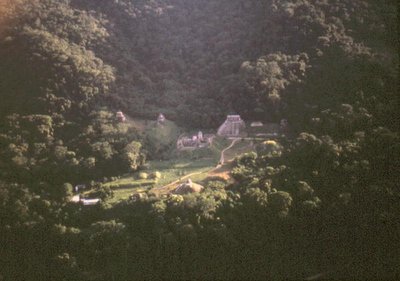 Aerial view of the ruins by Mayan